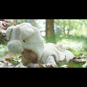 Pottery Barn Kids Pig Costume